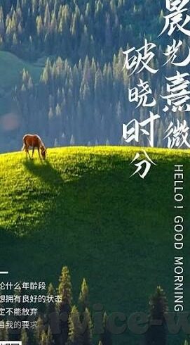 足球直播比分利物浦-足球直播比分速递，利物浦赛场风云，激情与悬念交织的每一刻